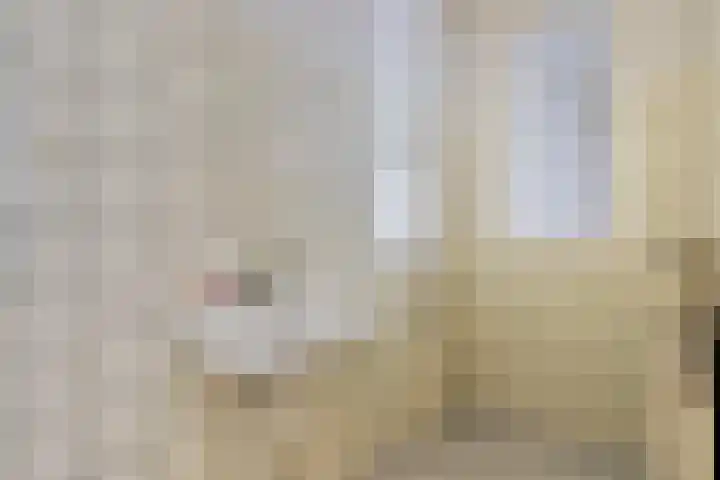Venkel 16 Geldrop thumbnail 14