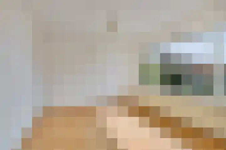 Venkel 16 Geldrop thumbnail 16