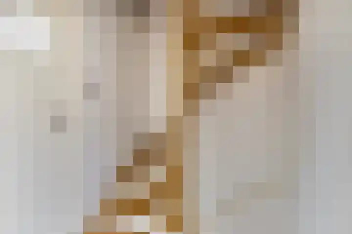 Venkel 16 Geldrop thumbnail 22