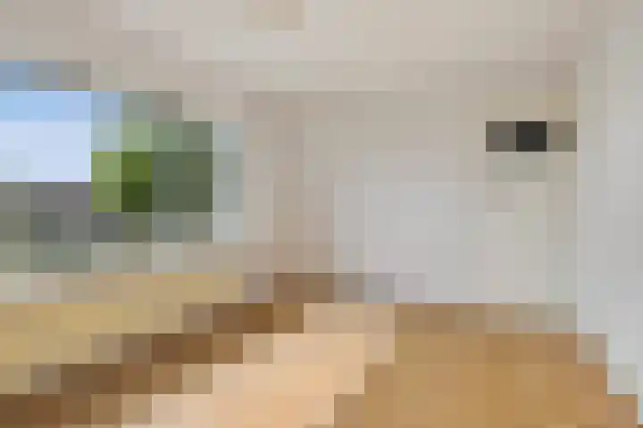 Venkel 16 Geldrop thumbnail 23