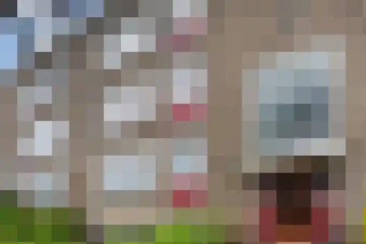 Venkel 16 Geldrop thumbnail 30