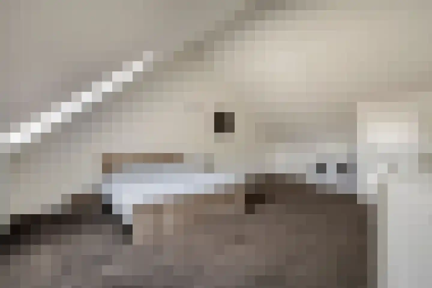 Venkel 17 Asten thumbnail 34