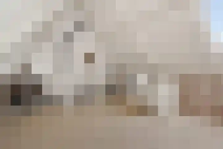Venkel 20 Oisterwijk thumbnail 32