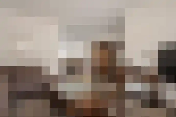 Venkel 20 Oisterwijk thumbnail 6