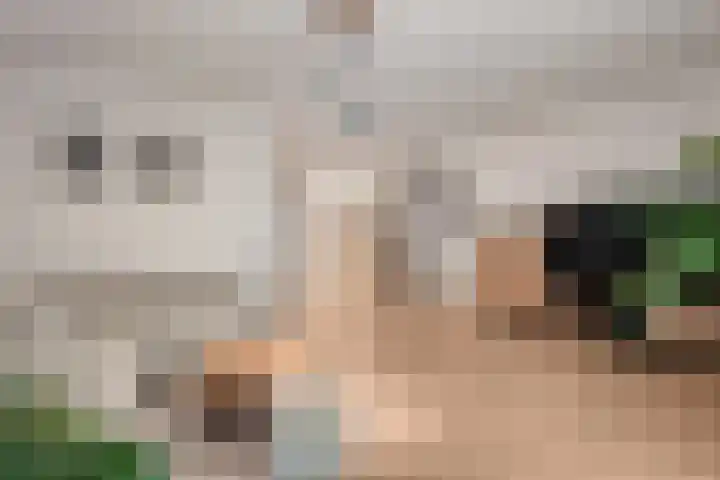 Venkel 23 Raalte thumbnail 13