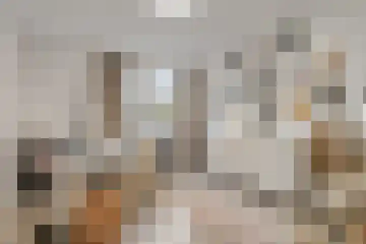 Venkel 23 Raalte thumbnail 22