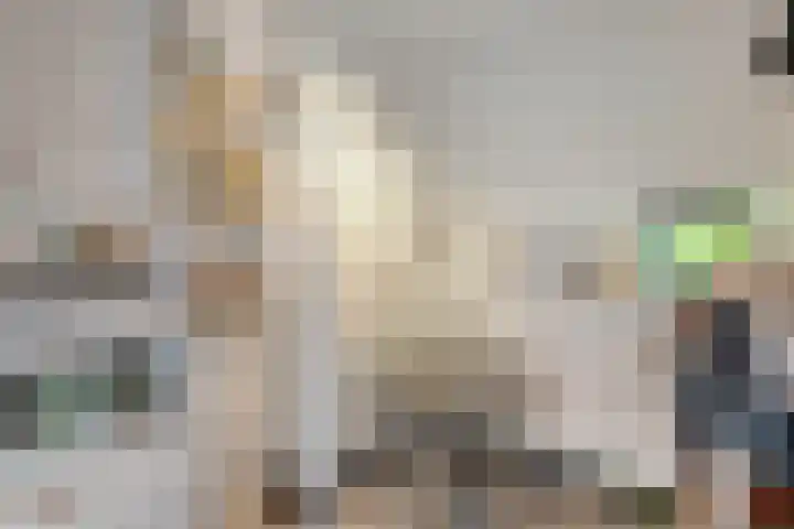 Venkel 23 Raalte thumbnail 26