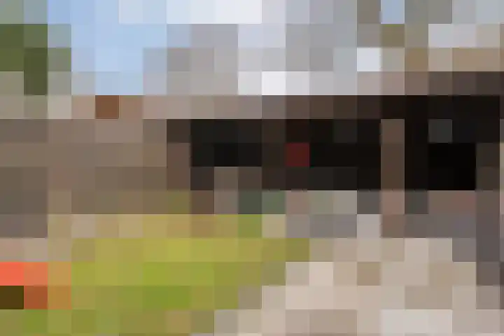 Venkel 23 Raalte thumbnail 33
