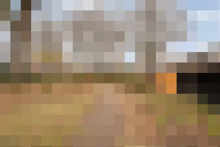Venkel 23 Raalte thumbnail 37
