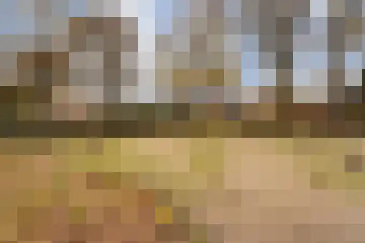 Venkel 23 Raalte thumbnail 38