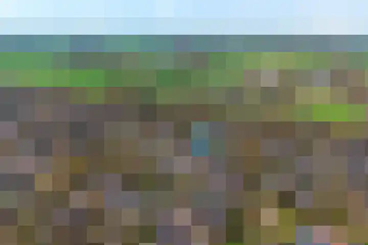 Venkel 23 Raalte thumbnail 4