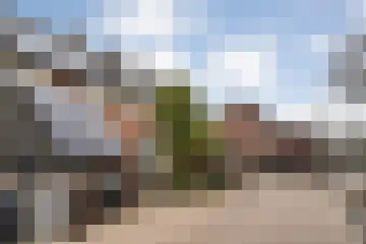Venkel 23 Raalte thumbnail 5