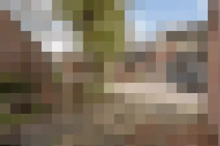 Venkel 23 Raalte thumbnail 7