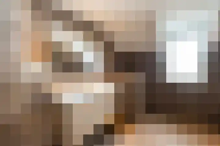 Venkel 27 Dronten thumbnail 20