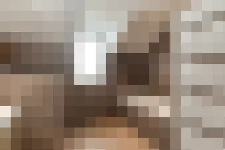 Venkel 27 Dronten thumbnail 21