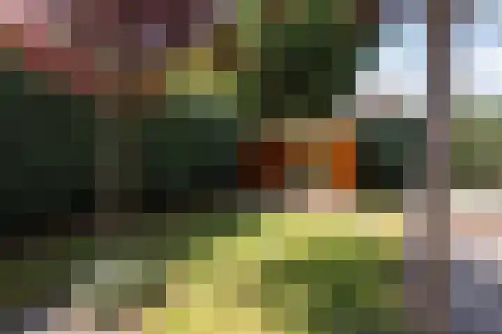 Venkel 27 Dronten thumbnail 29