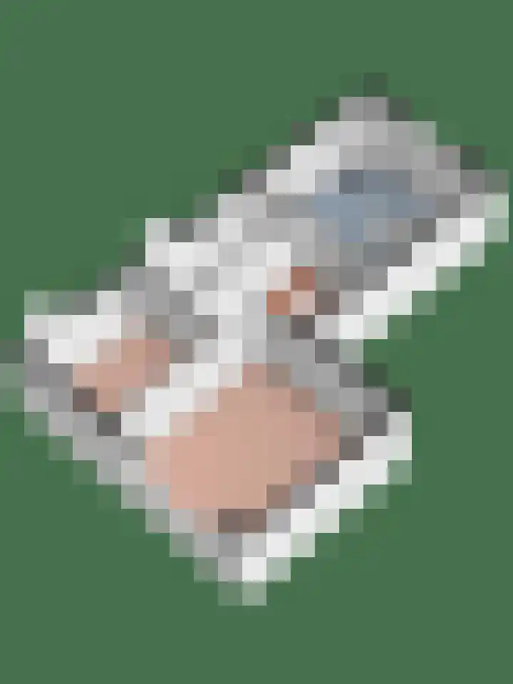 Venkel 27 Dronten thumbnail 37