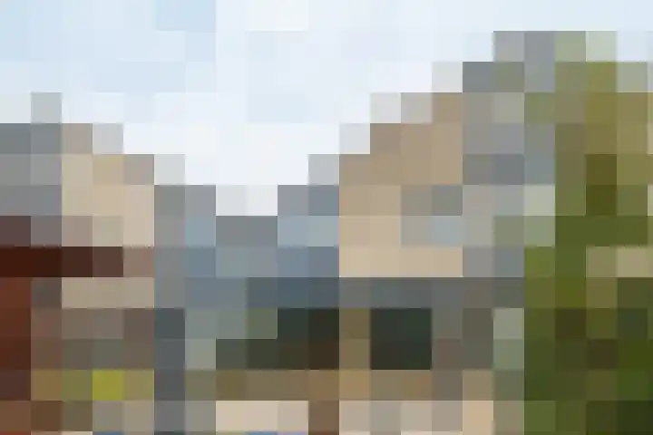 Venkel 27 Dronten thumbnail 38