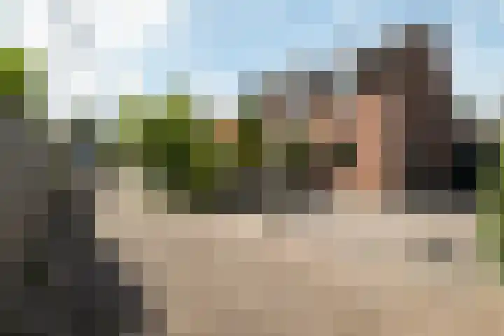 Venkel 27 Dronten thumbnail 5