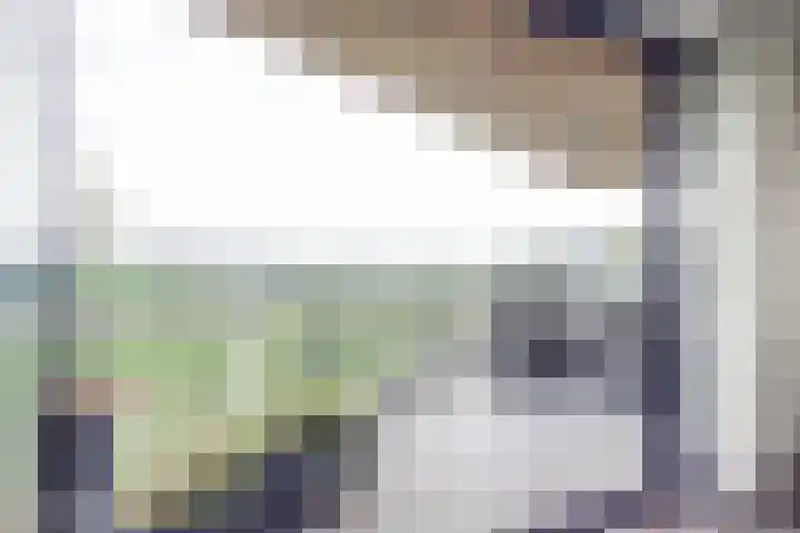 Venkel 3 Heinkenszand thumbnail 17