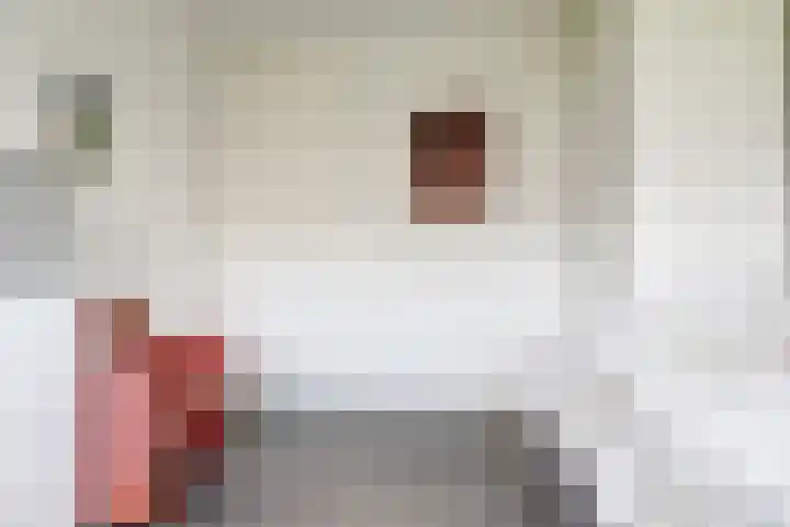 Venkel 3 Heinkenszand thumbnail 32