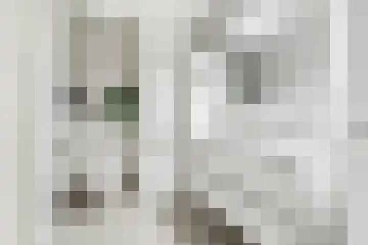 Venkel 3 Heinkenszand thumbnail 35