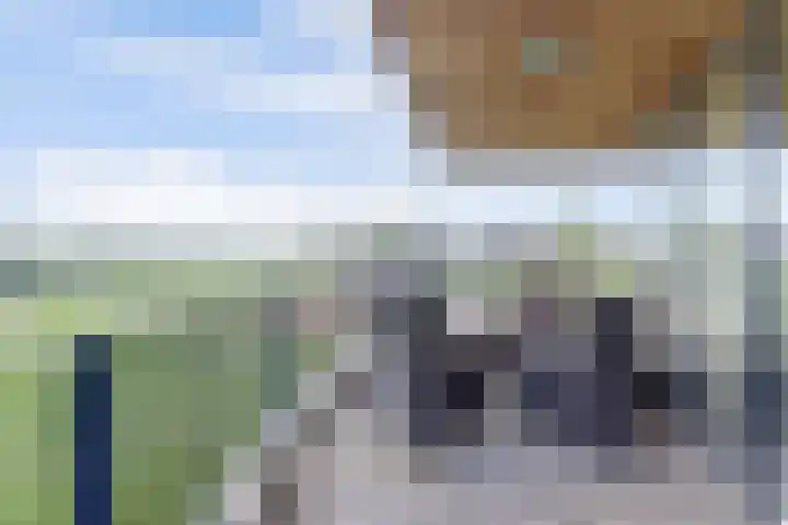 Venkel 3 Heinkenszand thumbnail 39