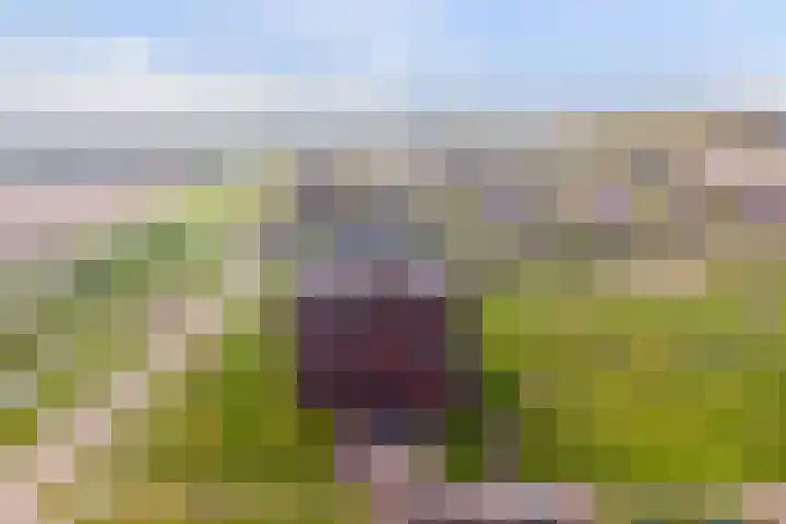 Venkel 3 Heinkenszand thumbnail 40