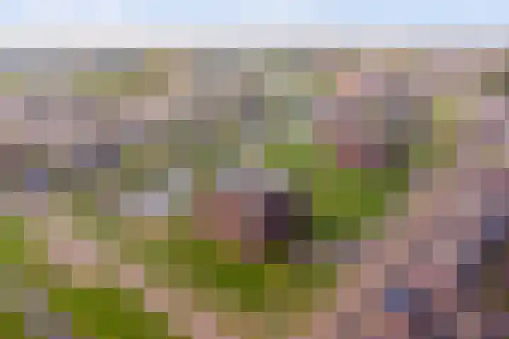 Venkel 3 Heinkenszand thumbnail 42