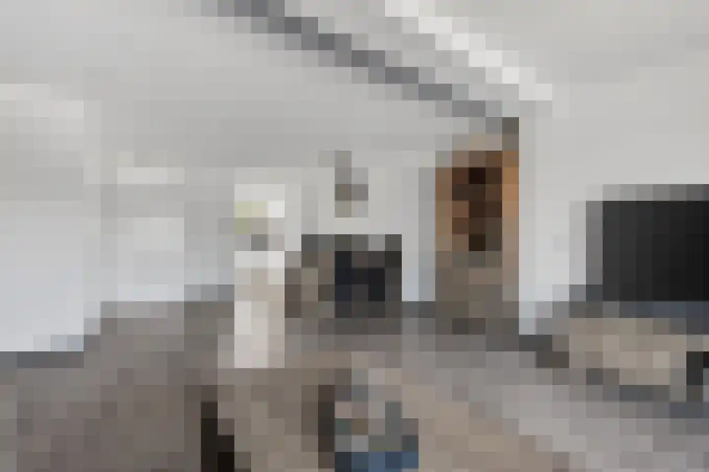 Venkel 3 Klazienaveen thumbnail 10
