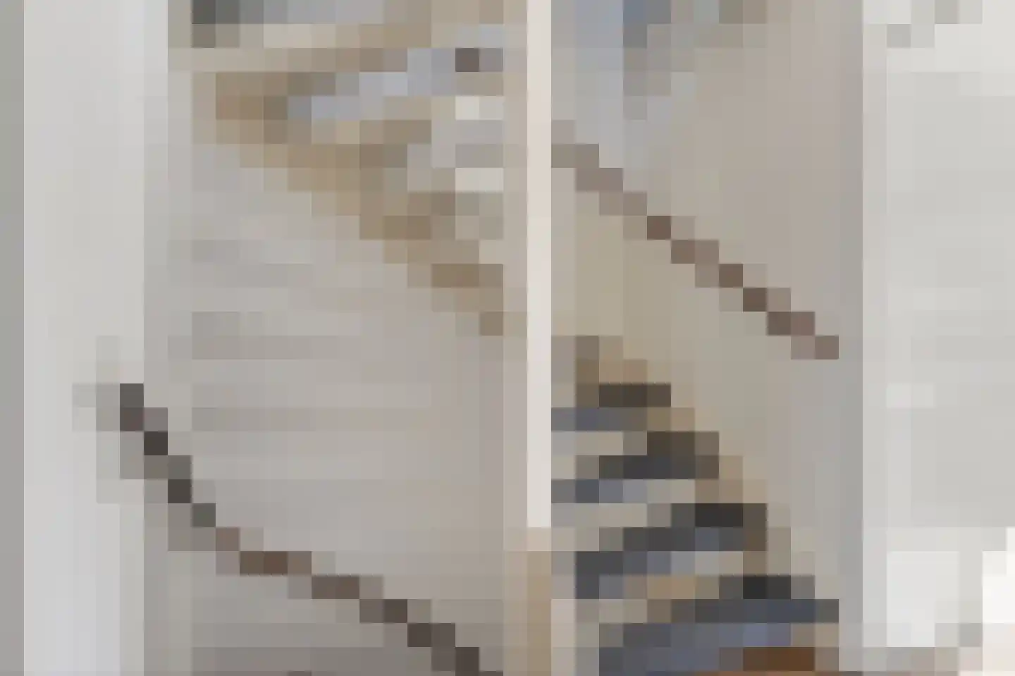 Venkel 3 Klazienaveen thumbnail 21