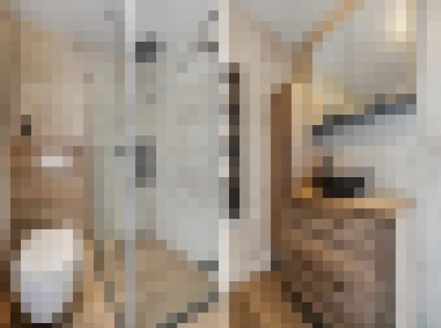 Venkel 3 Klazienaveen thumbnail 30