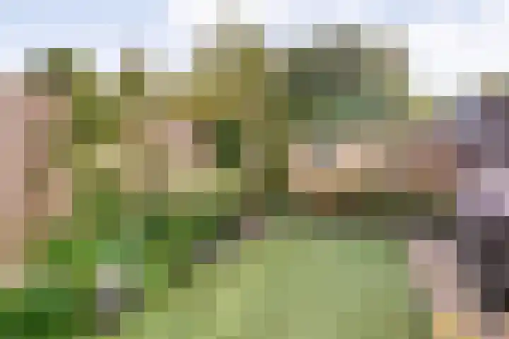 Venkel 36 Dronten thumbnail 33