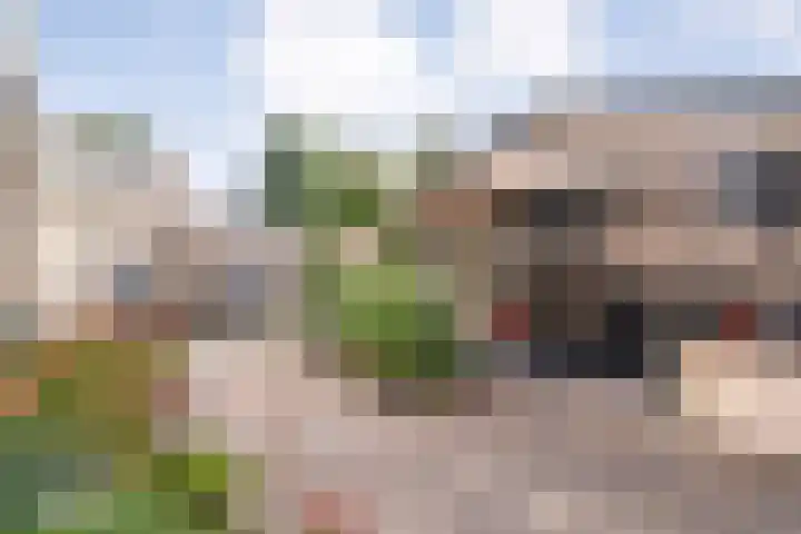 Venkel 36 Dronten thumbnail 34