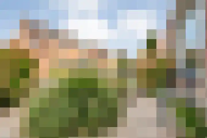 Venkel 36 Dronten thumbnail 39