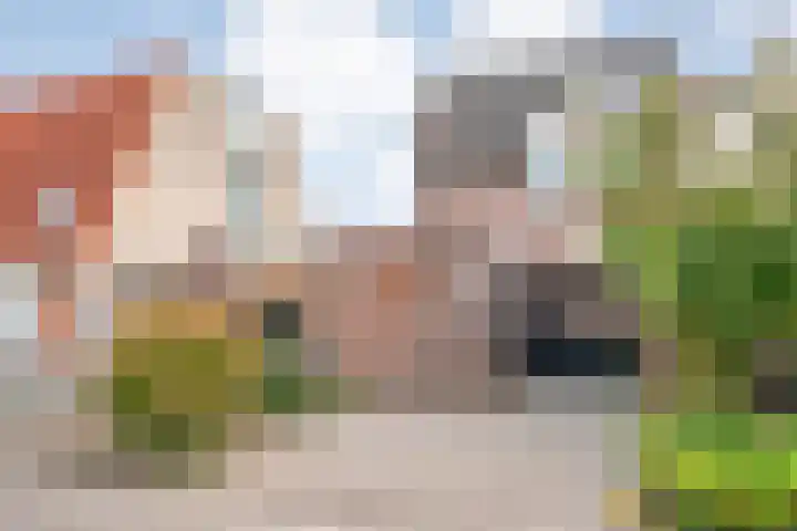 Venkel 36 Dronten thumbnail 44