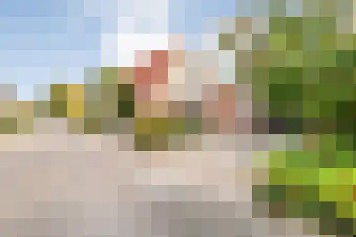 Venkel 36 Dronten thumbnail 45