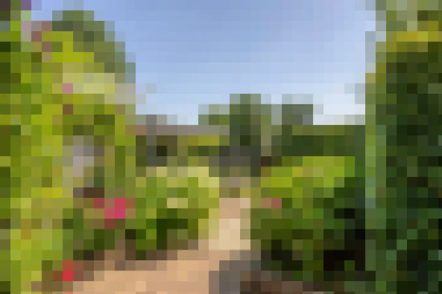 Venkel 40 Dronten thumbnail 31