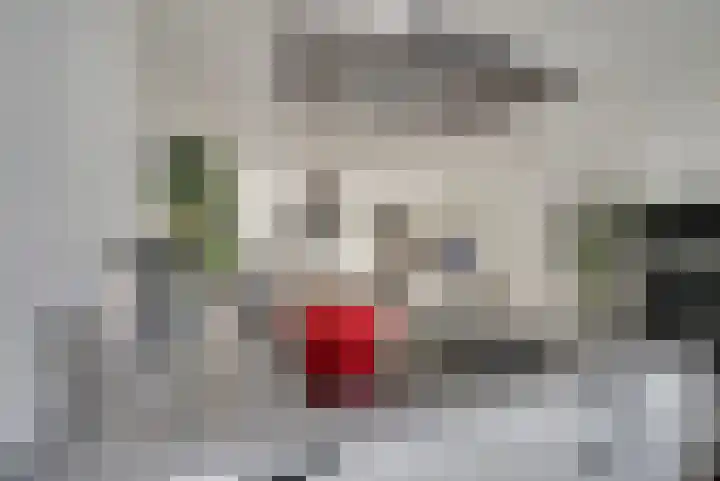 Venkel 7 Heerhugowaard thumbnail 15
