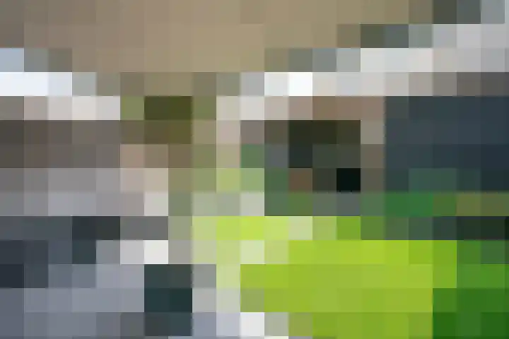 Venkel 7 Heerhugowaard thumbnail 40