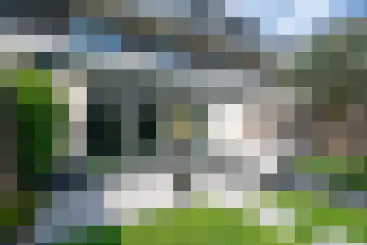 Venkel 7 Heerhugowaard thumbnail 42