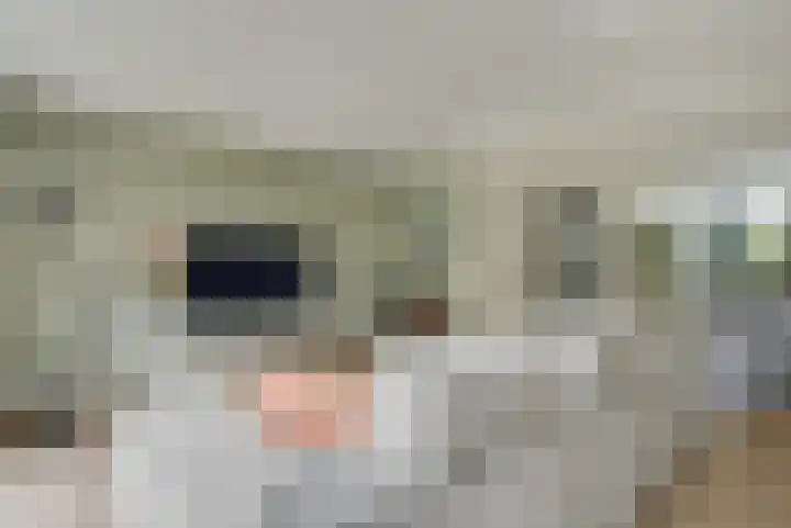 Venkel 7 Heerhugowaard thumbnail 7