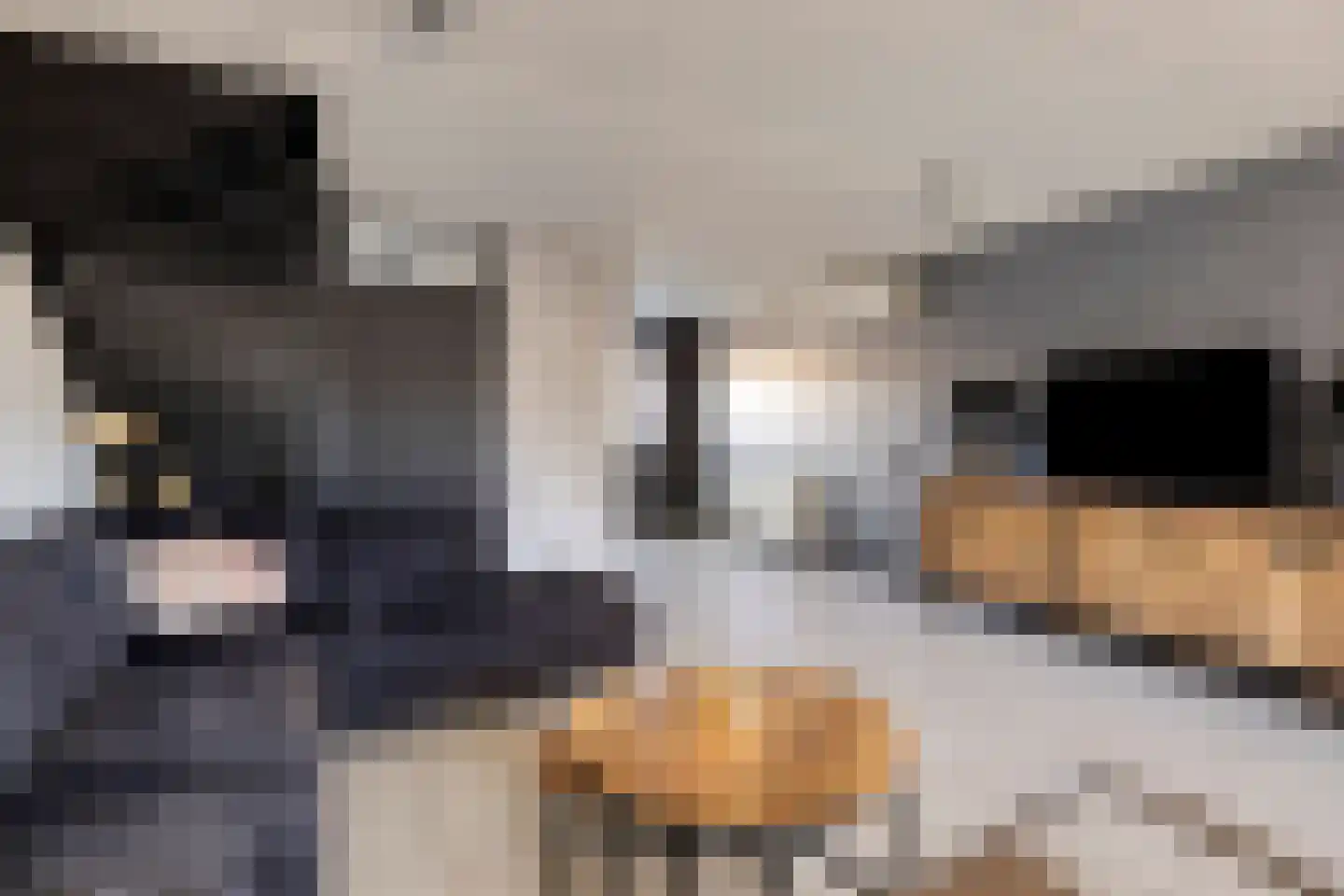 Venkel 7 Klazienaveen thumbnail 4