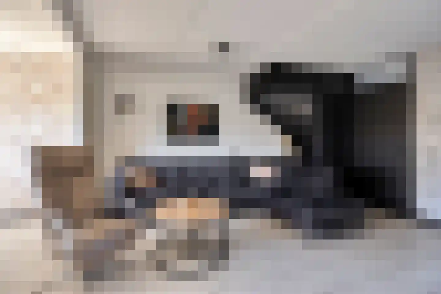 Venkel 7 Klazienaveen thumbnail 5