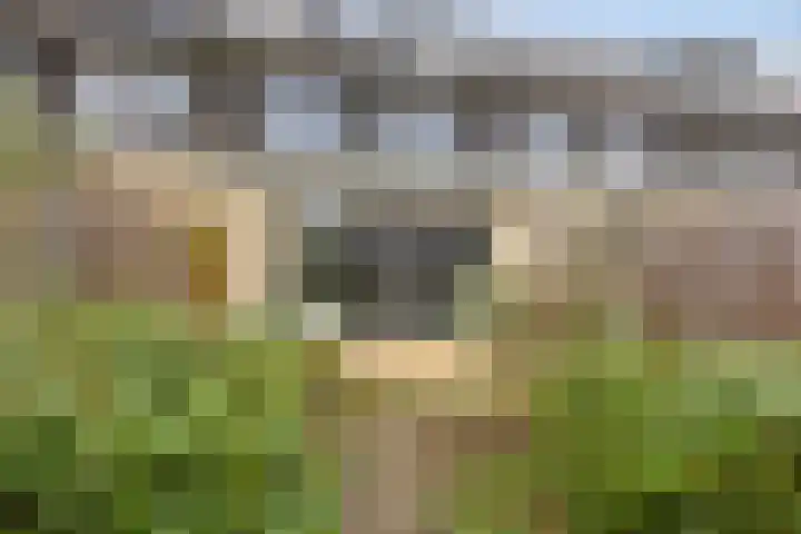 Venkel 9 Heerhugowaard thumbnail 32