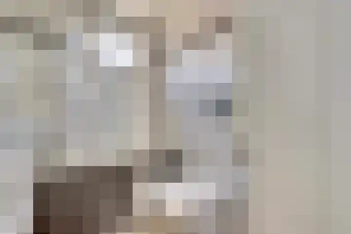Venkeldonk 25 Spijkenisse thumbnail 14