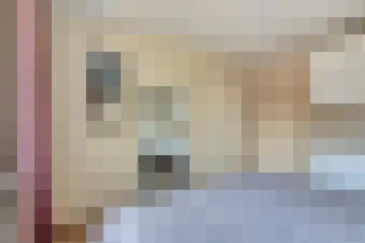 Venkeldonk 25 Spijkenisse thumbnail 20