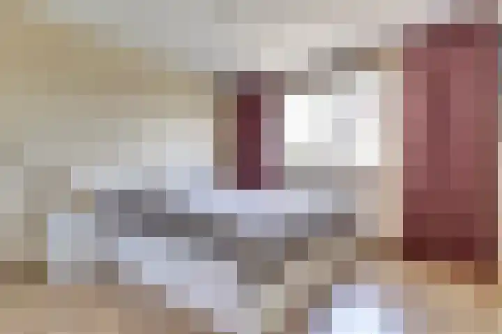 Venkeldonk 25 Spijkenisse thumbnail 21