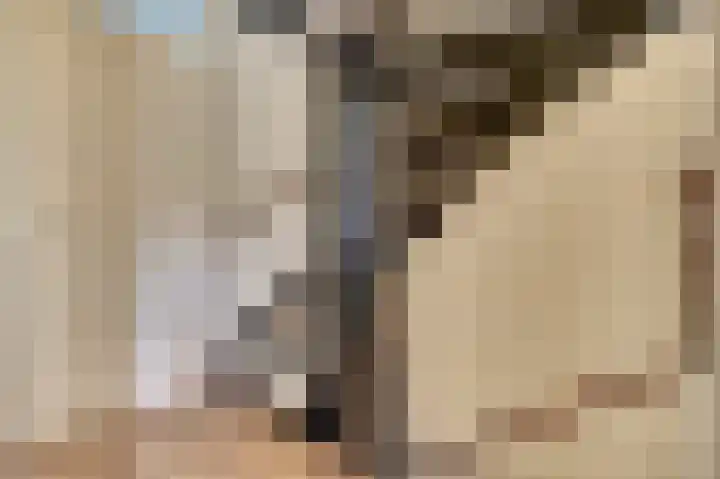 Venkeldonk 25 Spijkenisse thumbnail 23
