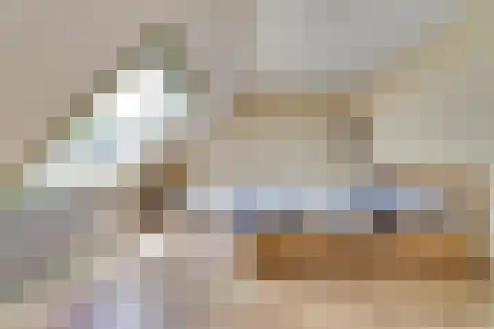 Venkeldonk 25 Spijkenisse thumbnail 25